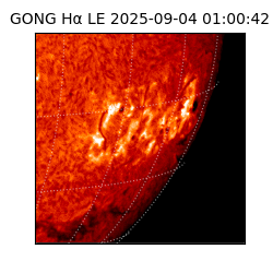 gong - 2025-09-04T01:00:42
