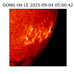gong - 2025-09-04T05:00:42