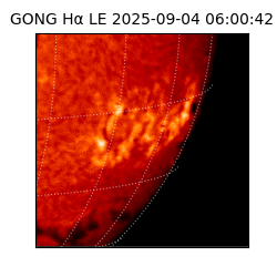 gong - 2025-09-04T06:00:42