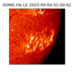 gong - 2025-09-04T01:00:42