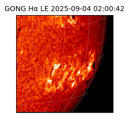 gong - 2025-09-04T02:00:42