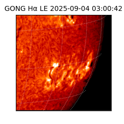 gong - 2025-09-04T03:00:42