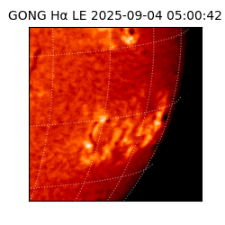 gong - 2025-09-04T05:00:42