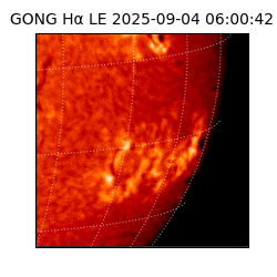 gong - 2025-09-04T06:00:42