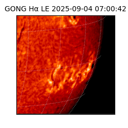 gong - 2025-09-04T07:00:42