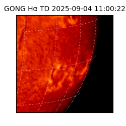 gong - 2025-09-04T11:00:22