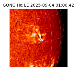 gong - 2025-09-04T01:00:42