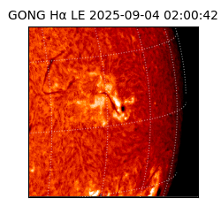 gong - 2025-09-04T02:00:42