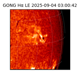 gong - 2025-09-04T03:00:42