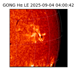 gong - 2025-09-04T04:00:42