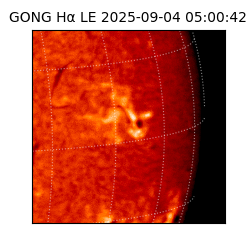 gong - 2025-09-04T05:00:42
