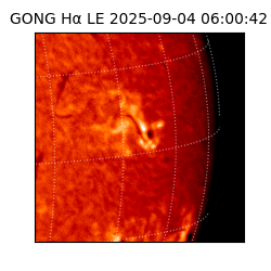 gong - 2025-09-04T06:00:42