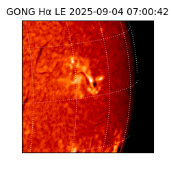 gong - 2025-09-04T07:00:42