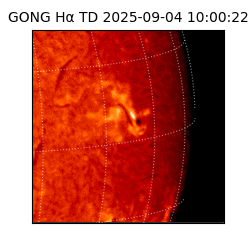 gong - 2025-09-04T10:00:22