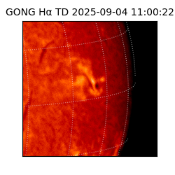 gong - 2025-09-04T11:00:22