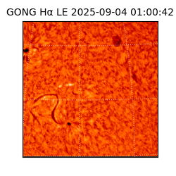 gong - 2025-09-04T01:00:42