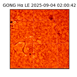 gong - 2025-09-04T02:00:42