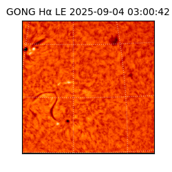 gong - 2025-09-04T03:00:42