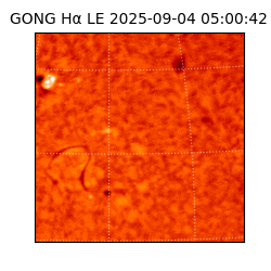 gong - 2025-09-04T05:00:42