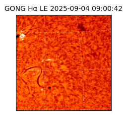 gong - 2025-09-04T09:00:42
