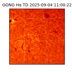 gong - 2025-09-04T11:00:22