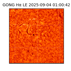 gong - 2025-09-04T01:00:42