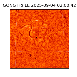 gong - 2025-09-04T02:00:42