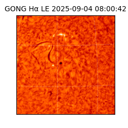 gong - 2025-09-04T08:00:42