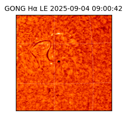 gong - 2025-09-04T09:00:42