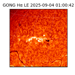 gong - 2025-09-04T01:00:42