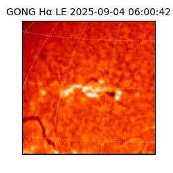 gong - 2025-09-04T06:00:42