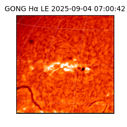 gong - 2025-09-04T07:00:42