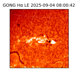 gong - 2025-09-04T08:00:42