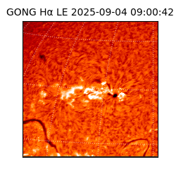 gong - 2025-09-04T09:00:42