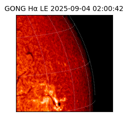 gong - 2025-09-04T02:00:42