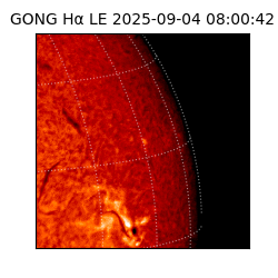 gong - 2025-09-04T08:00:42