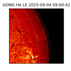 gong - 2025-09-04T09:00:42