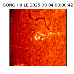 gong - 2025-09-04T03:00:42