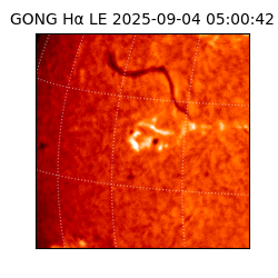 gong - 2025-09-04T05:00:42