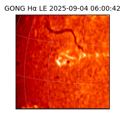 gong - 2025-09-04T06:00:42