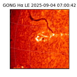 gong - 2025-09-04T07:00:42