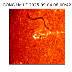 gong - 2025-09-04T08:00:42