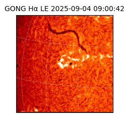 gong - 2025-09-04T09:00:42