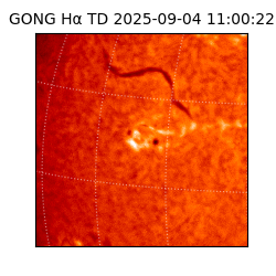 gong - 2025-09-04T11:00:22