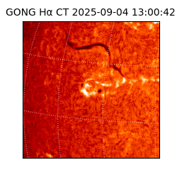 gong - 2025-09-04T13:00:42