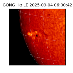 gong - 2025-09-04T06:00:42