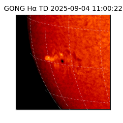 gong - 2025-09-04T11:00:22