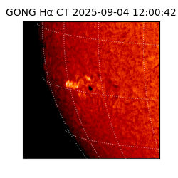 gong - 2025-09-04T12:00:42