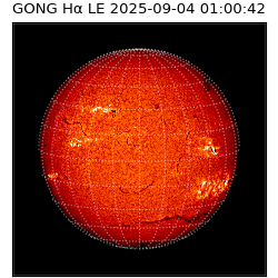 gong - 2025-09-04T01:00:42