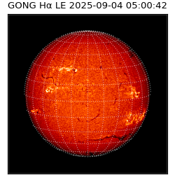 gong - 2025-09-04T05:00:42